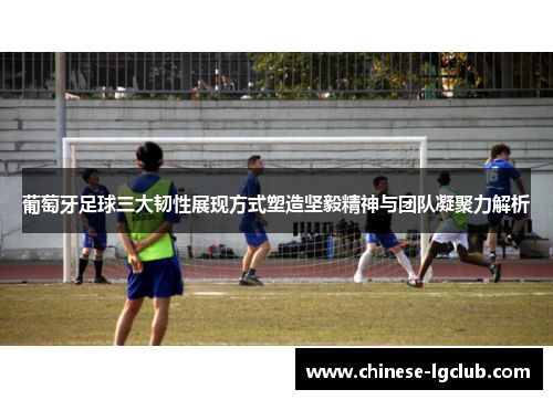 葡萄牙足球三大韧性展现方式塑造坚毅精神与团队凝聚力解析 葡萄牙足球三大韧性展现方式塑造坚毅精神与团队凝聚力解析
